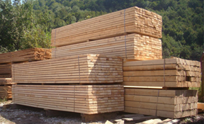 construction wood